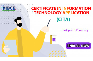 Certificate in Information Technology Application (CITA)