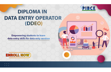 Diploma in Data Entry Operator (DDEO)